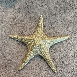 Gold Starfish Home Accent